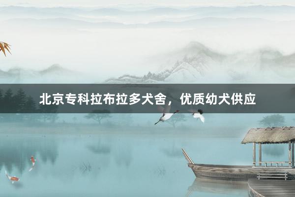 北京专科拉布拉多犬舍，优质幼犬供应